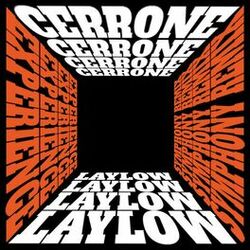 Cover of Experience (Disco Symphony Version)