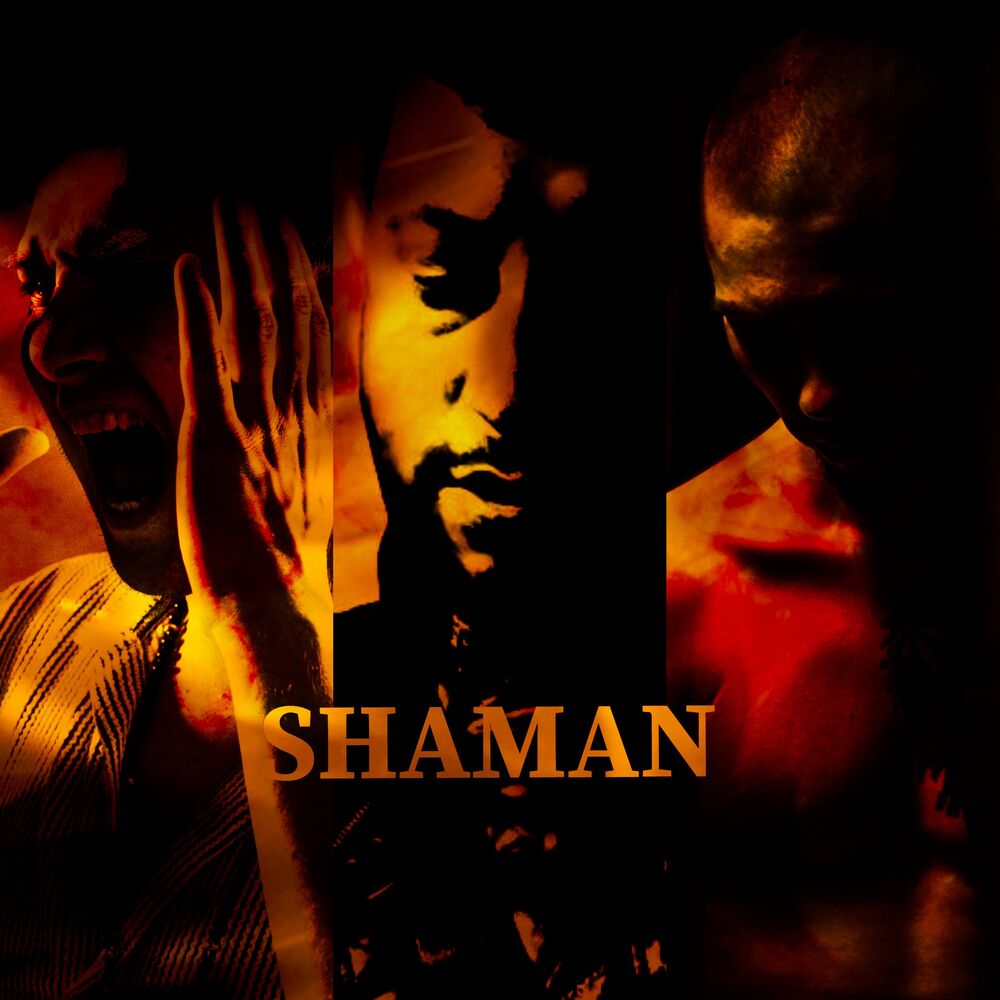 Picture of Shaman