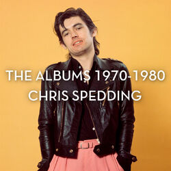 Cover of The Albums 1970-1980