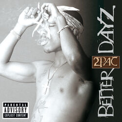 Cover of Better Dayz
