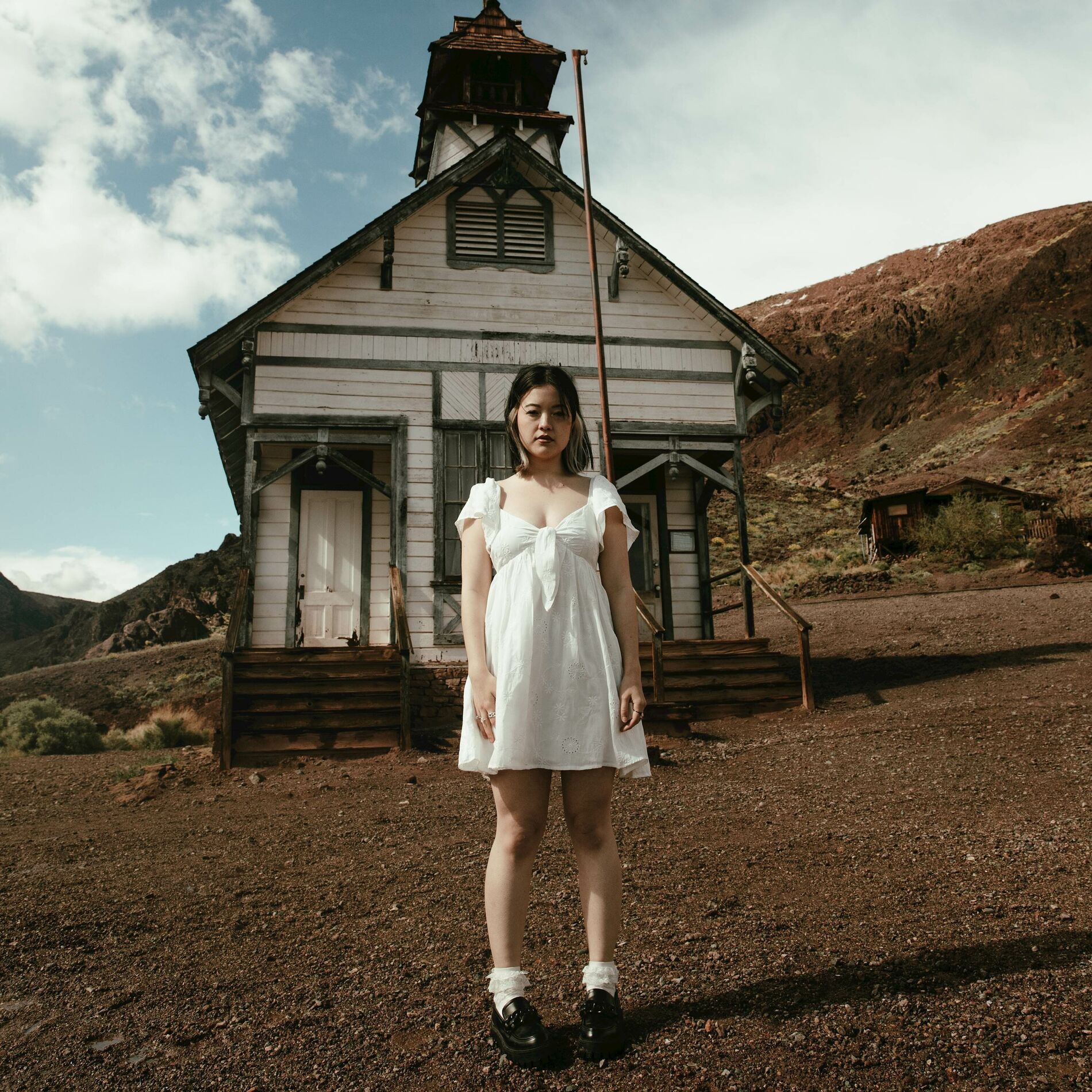 Album cover of Wild Horses