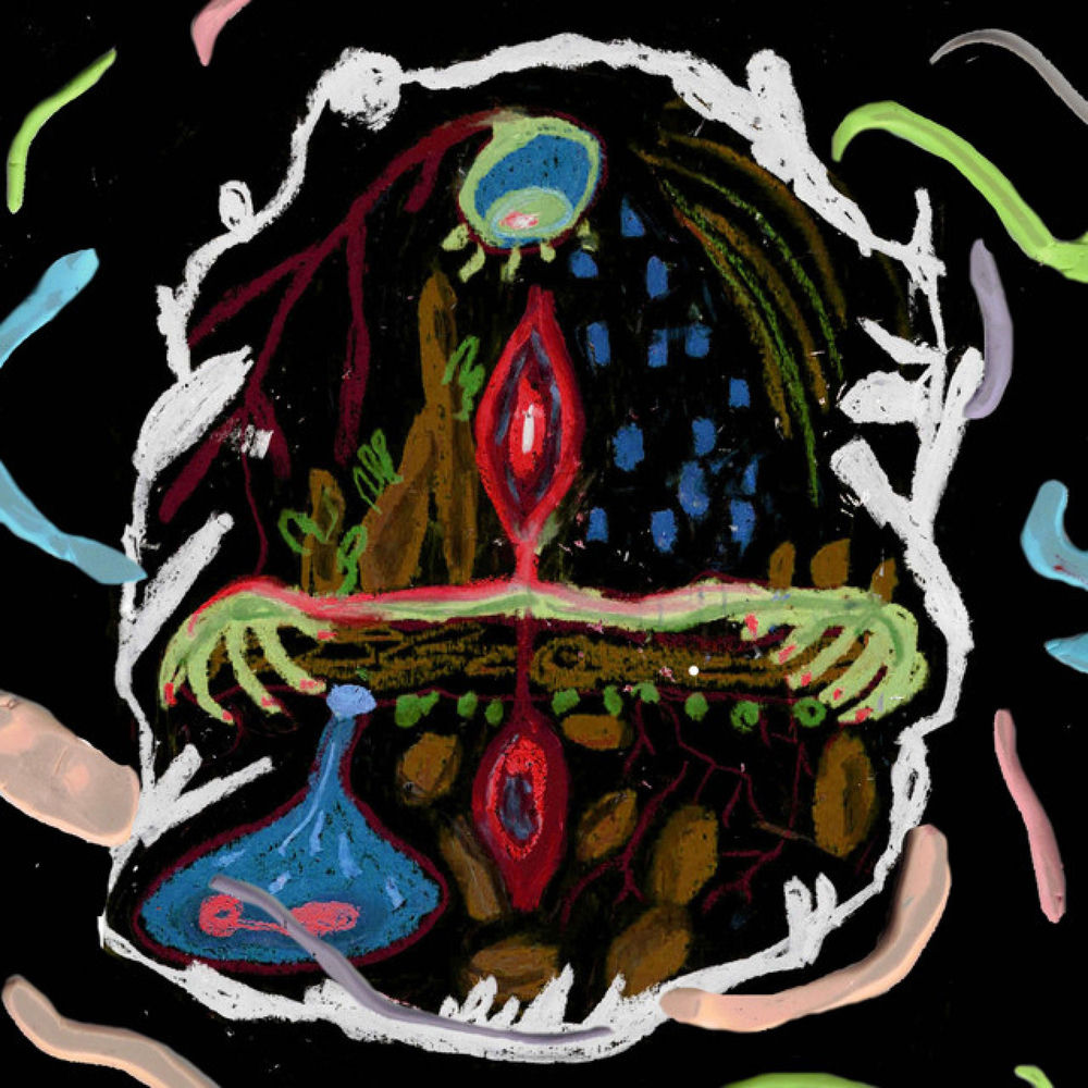 INNER RISE cover