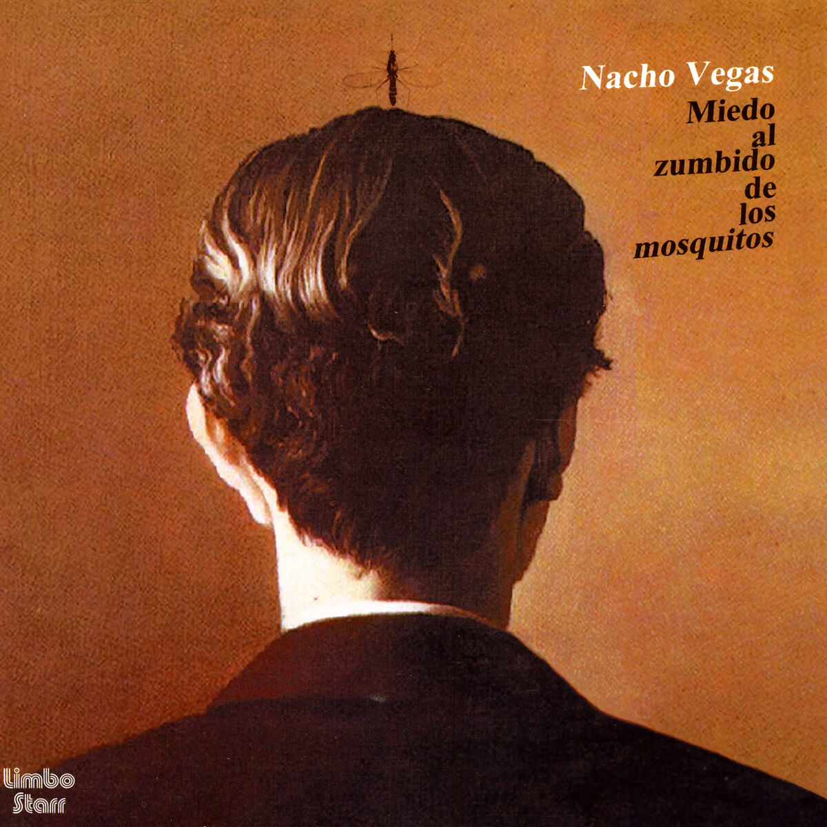 Album cover of Miedo Al Zumbido De Los Mosquitos
