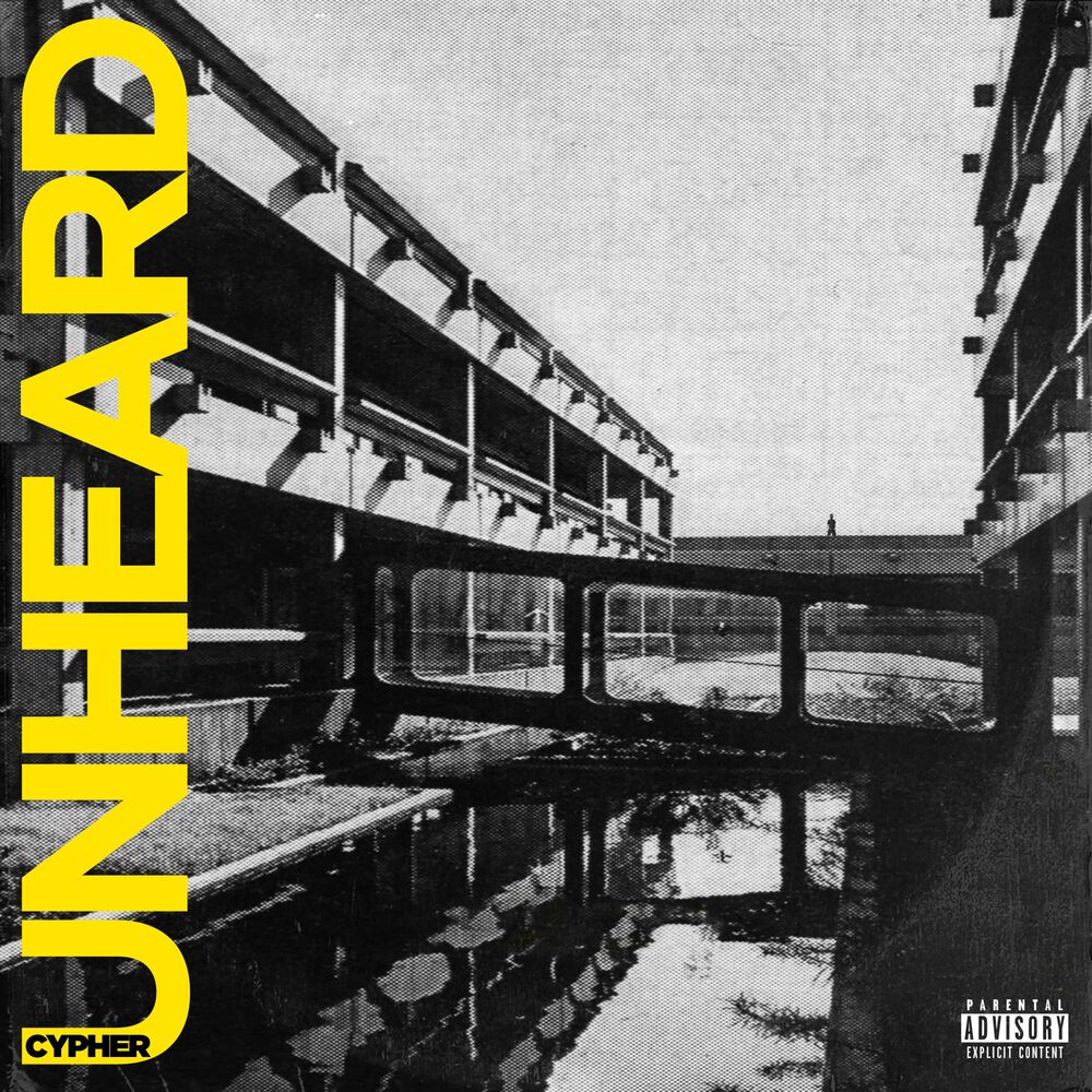 Picture of Unheard