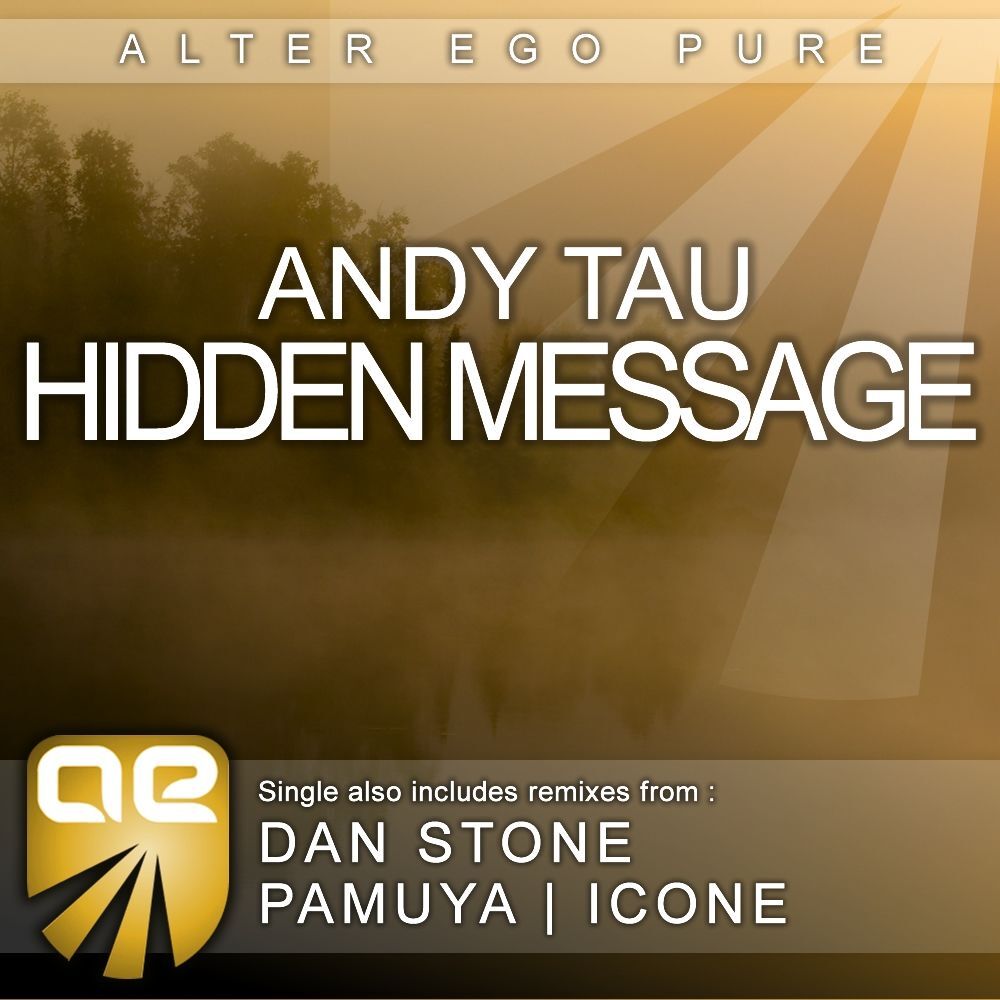 Picture of Hidden Message