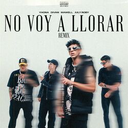 Cover of NO VOY A LLORAR