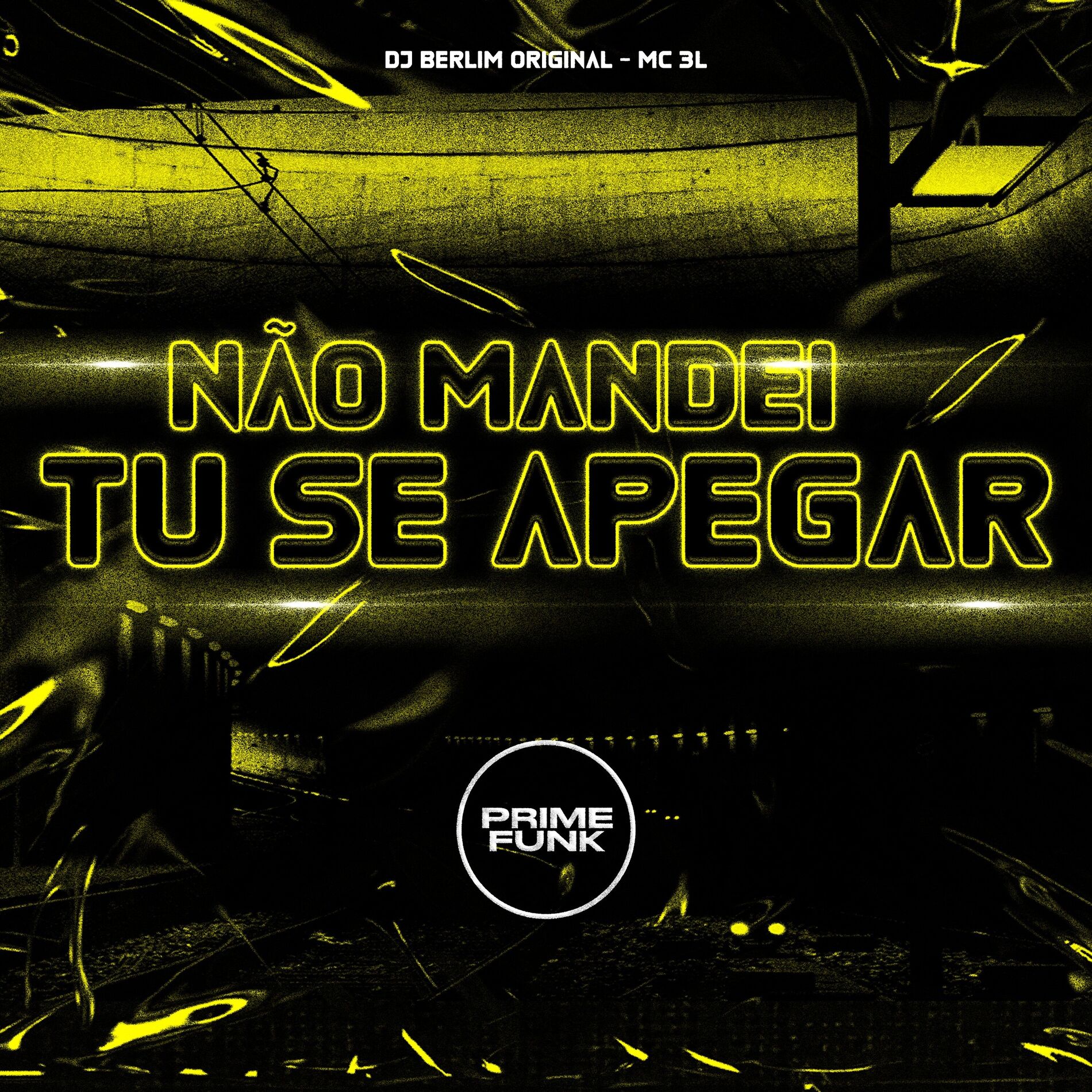 Album cover of Não Mandei Tu Se Apegar
