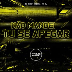 Cover of Não Mandei Tu Se Apegar