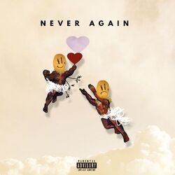 Never Again