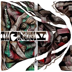 Cover of Ill Considered V
