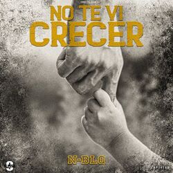 Cover of No Te Vi Crecer