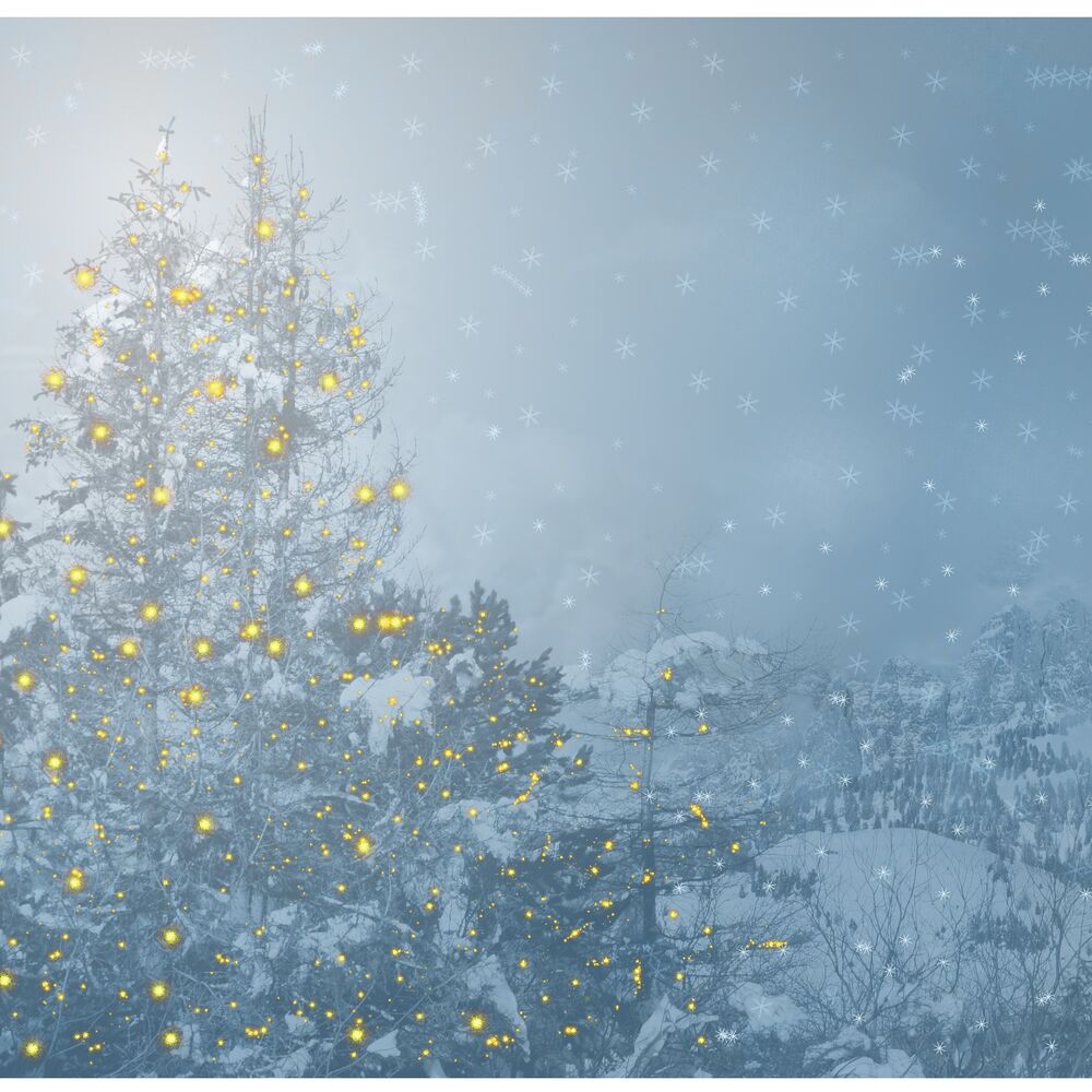 Picture of #1 Ultimate Family Holiday Music Compilation