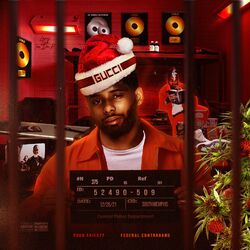 Cover of Federal Contraband (Freestyle)