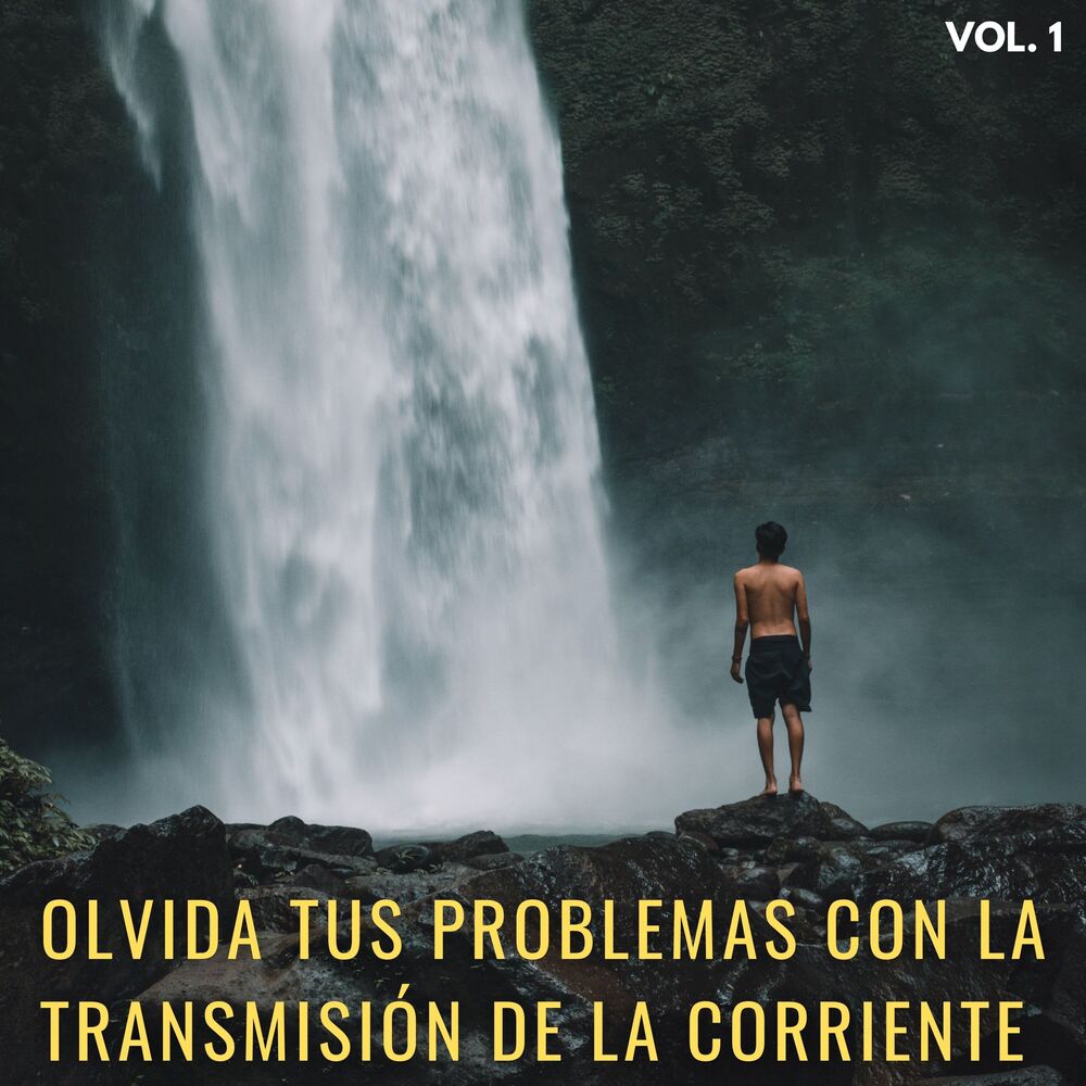 Picture of Olvida Tus Problemas Con La Transmisión De La Corriente Vol. 1