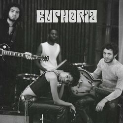 Cover of Euphoria