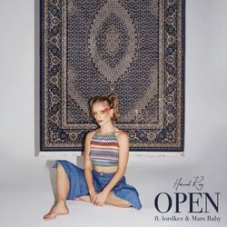 Cover of Open