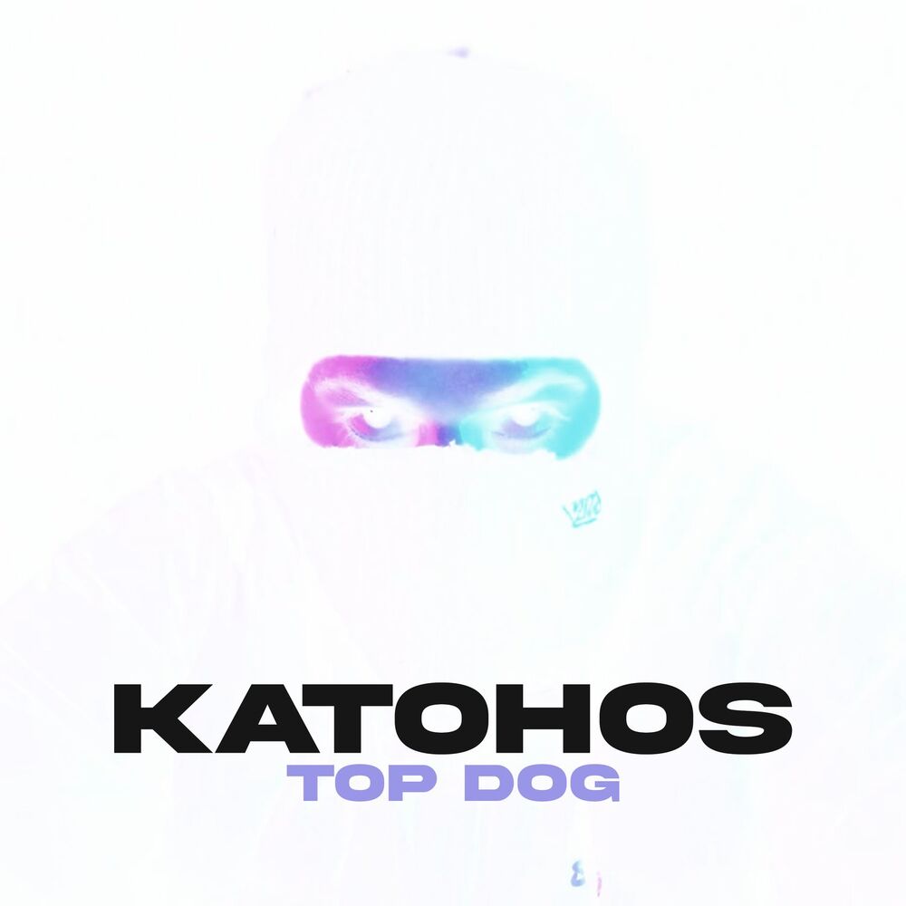 Picture of Top Dog