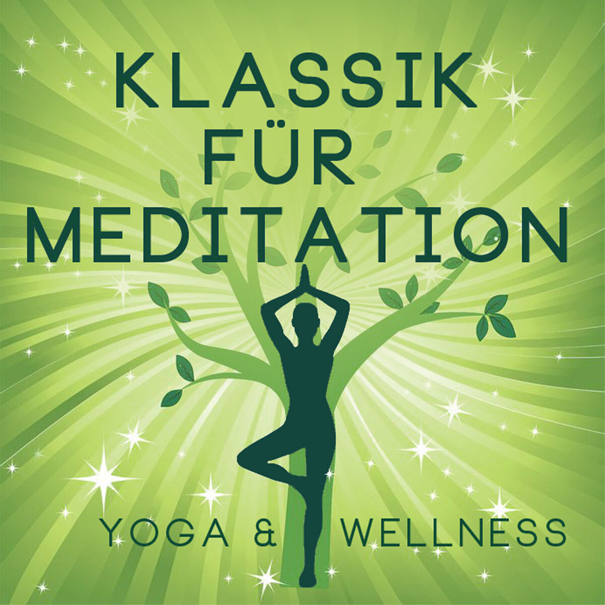 Album cover of Klassik für Meditation - Yoga & Wellness