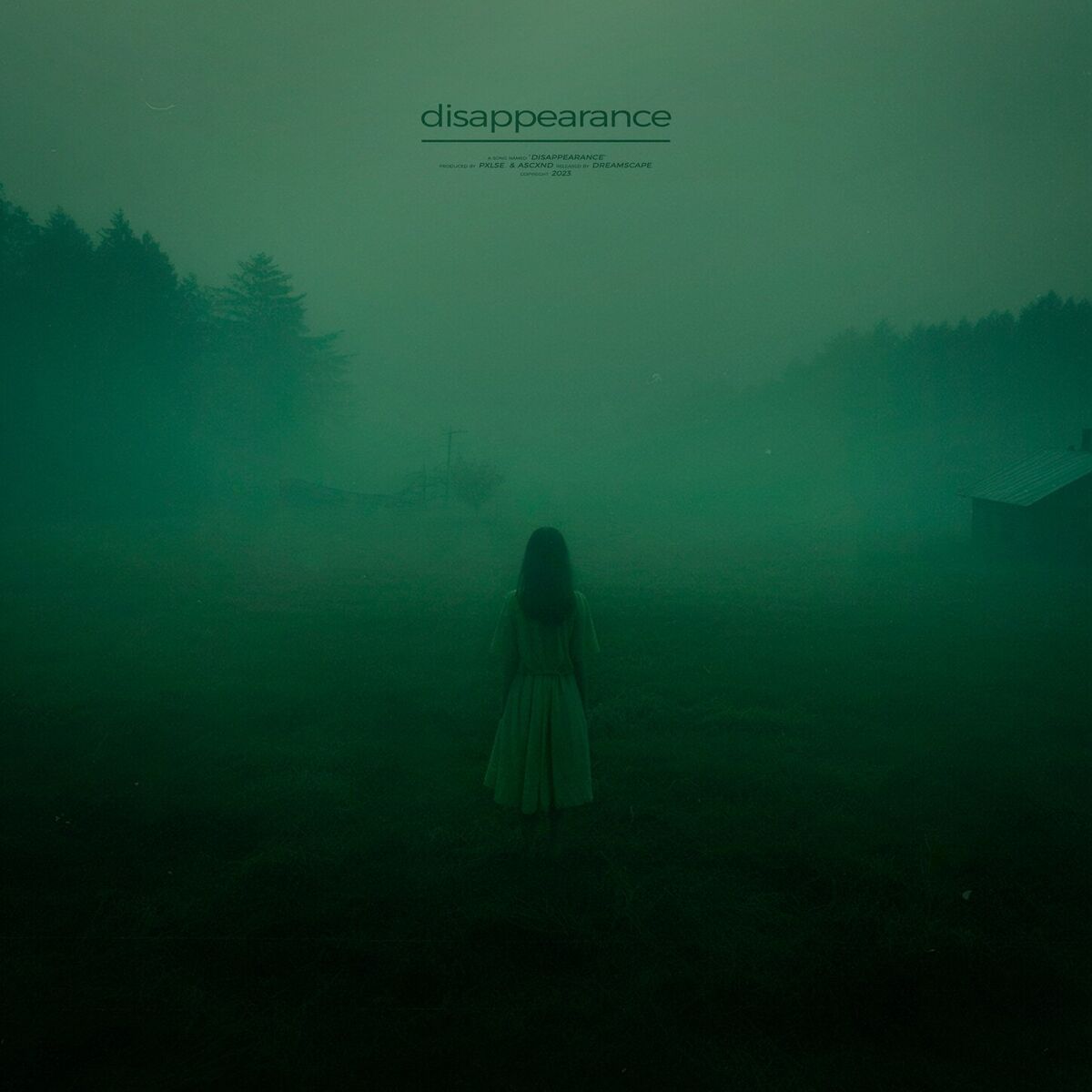 Album cover of disappearance