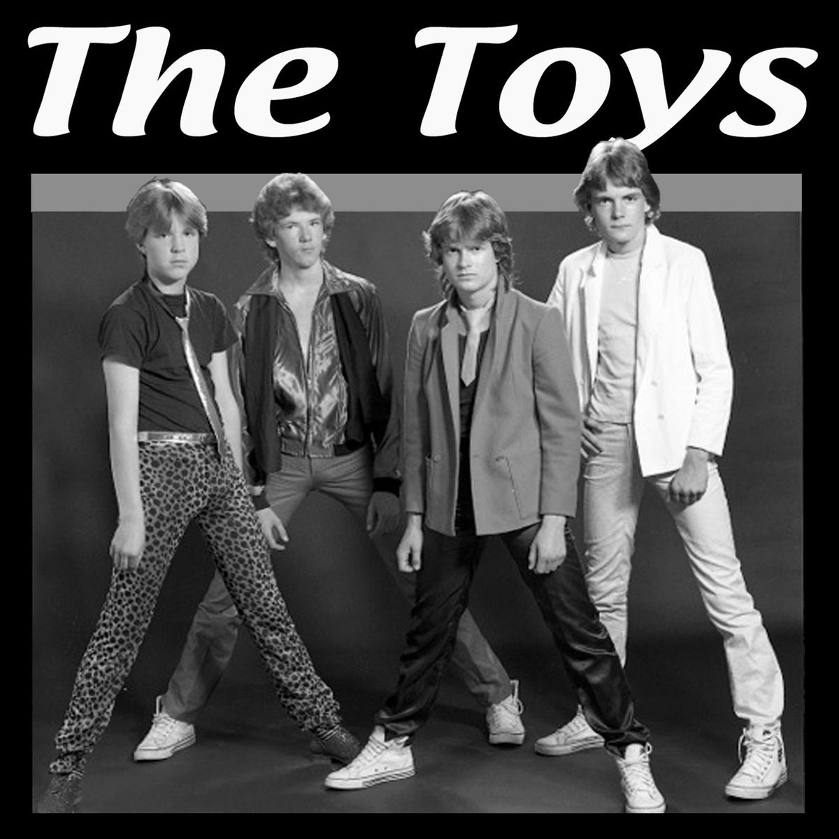 Album cover of The Toys