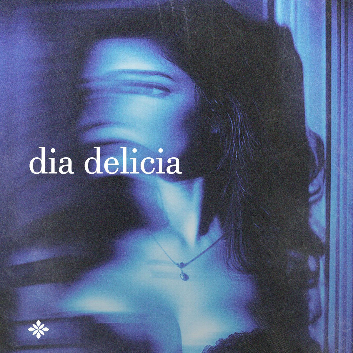 Album cover of Dia Delicia