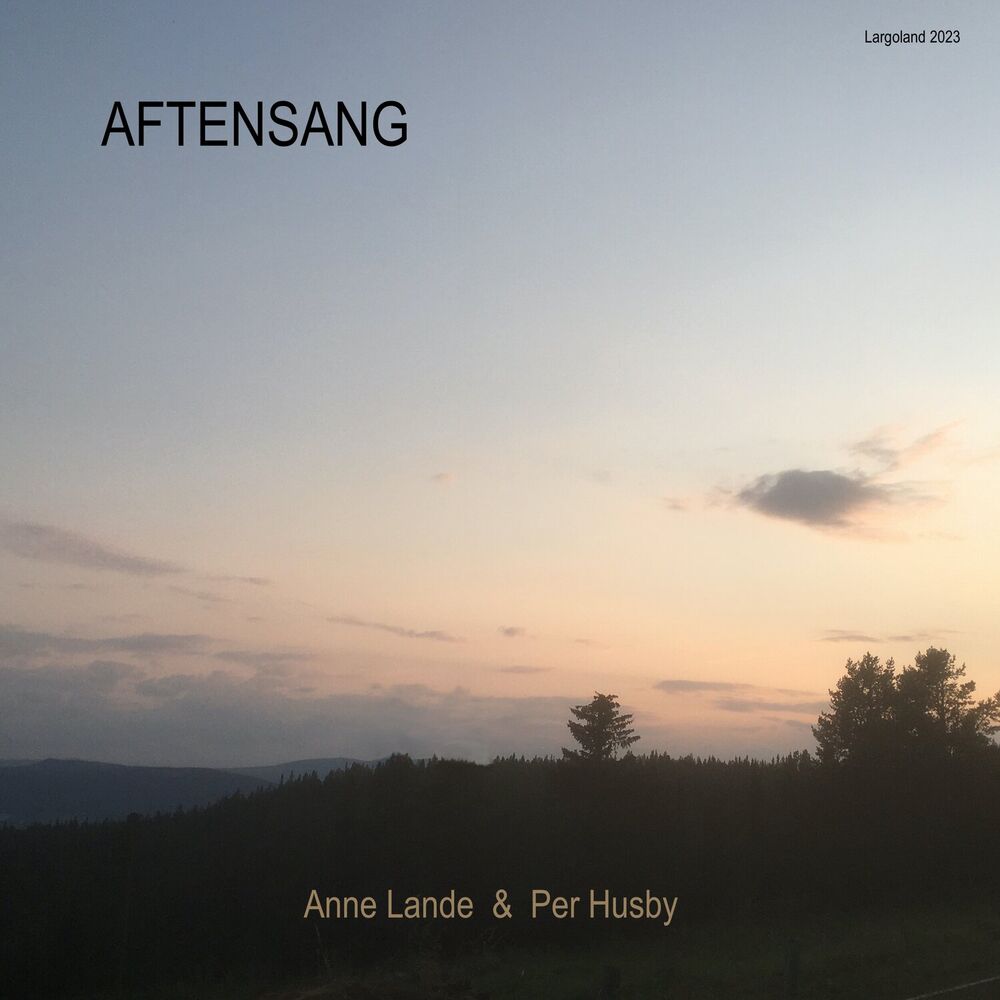 Picture of Aftensang