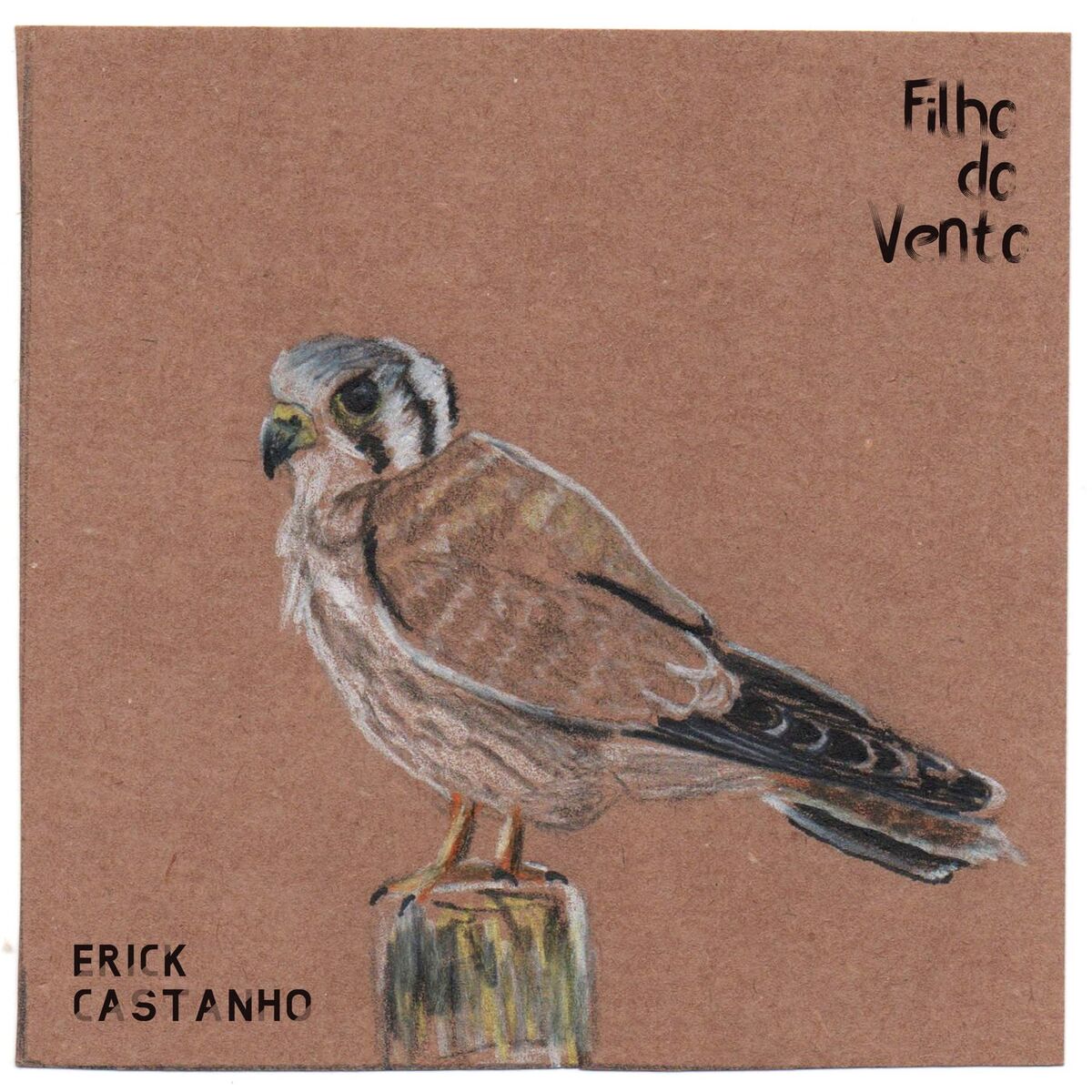 Album cover of Filho do Vento