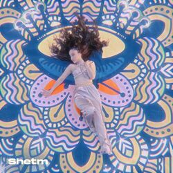 Cover of Shetm