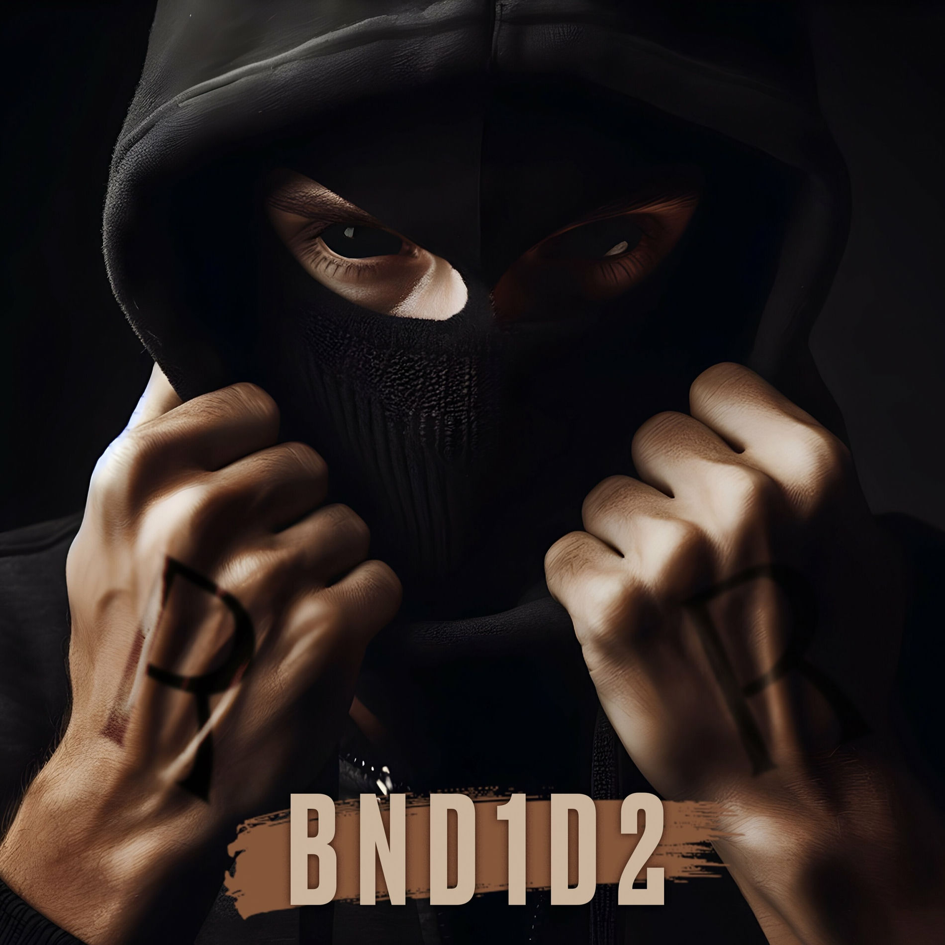 Album cover of BND1D2