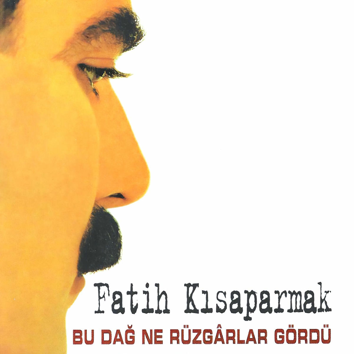 Album cover of Bu Dağ Ne Rüzgarlar Gördü