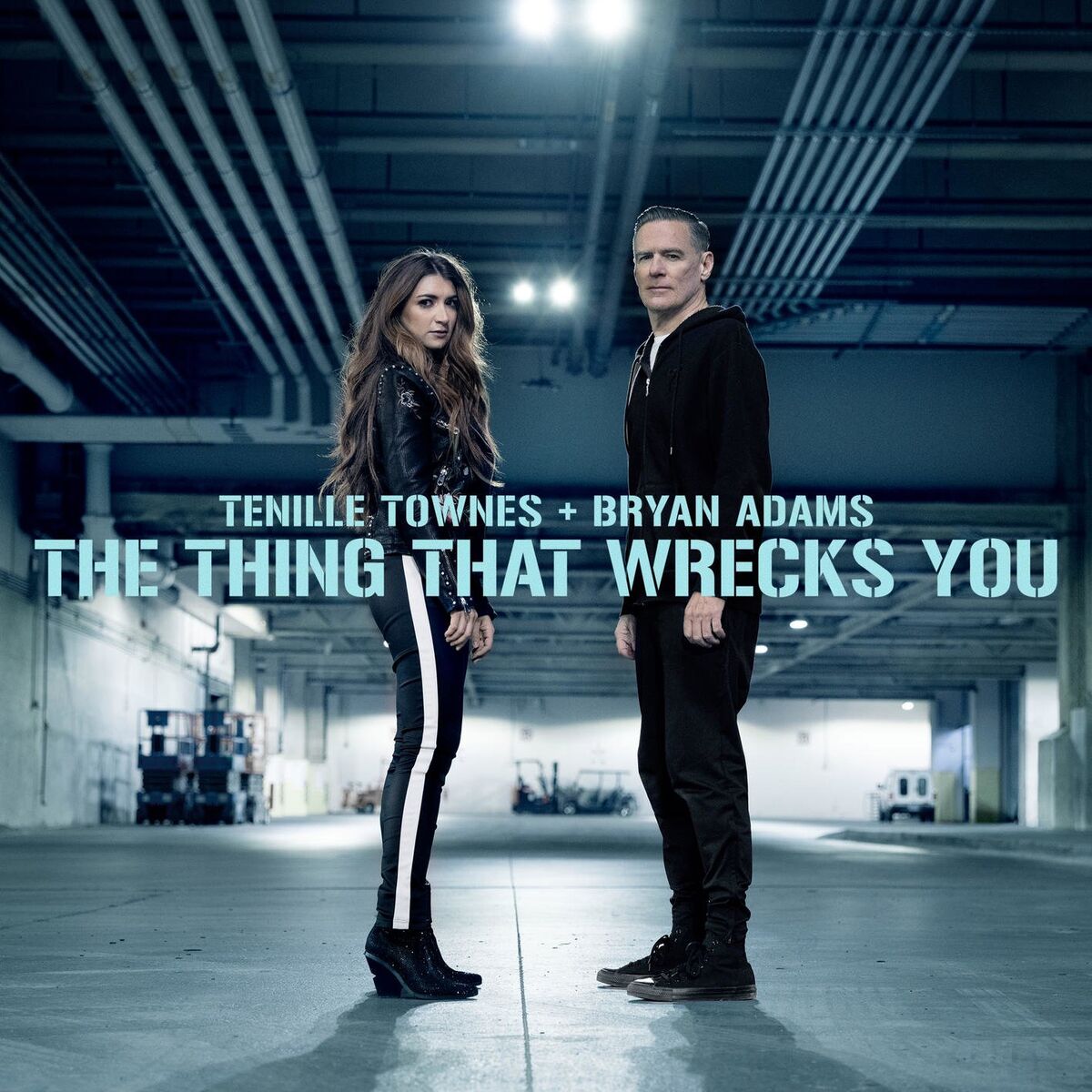 Album cover of The Thing That Wrecks You