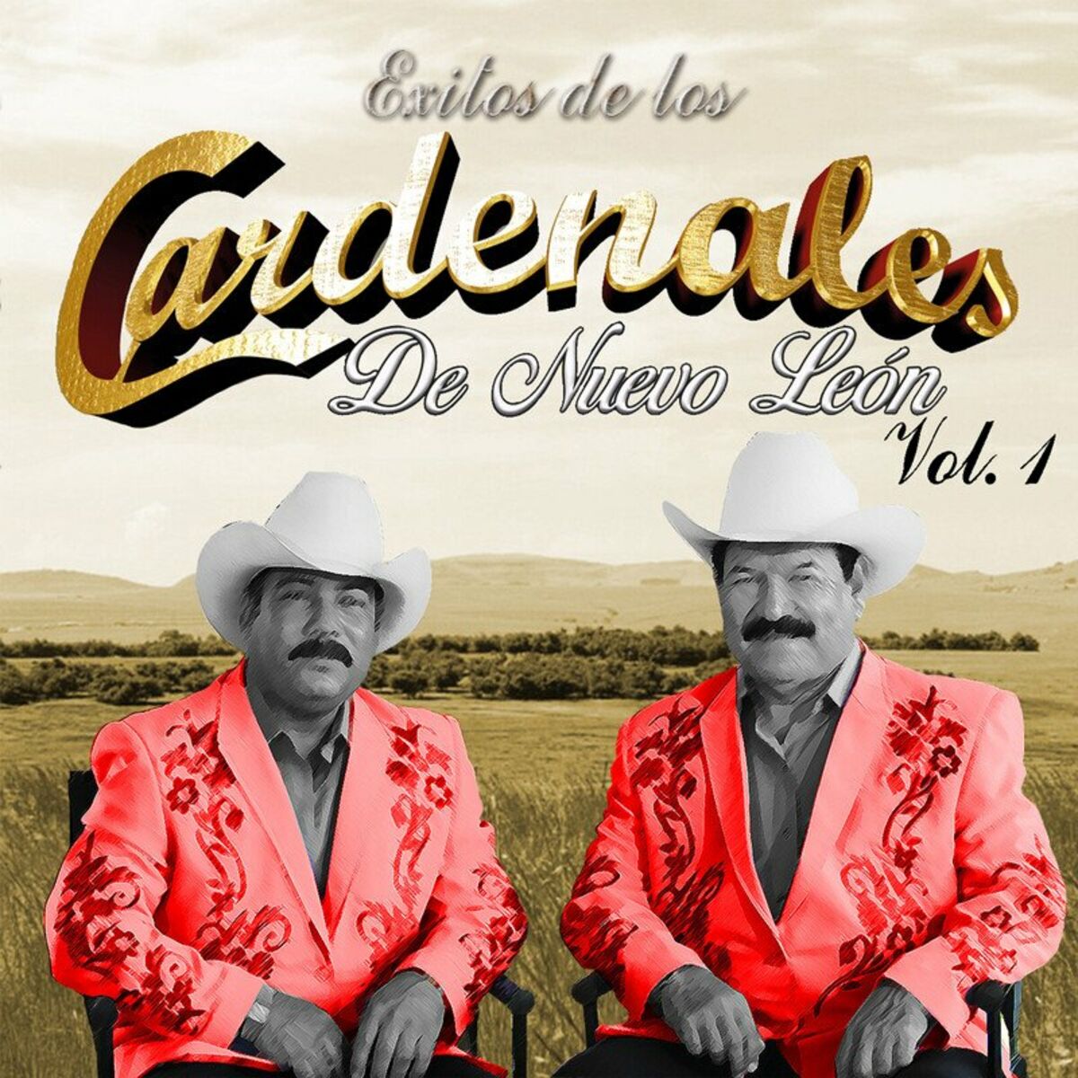 Album cover of Belleza De Cantina