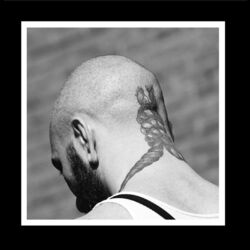 Cover of Chains/Wristslitter