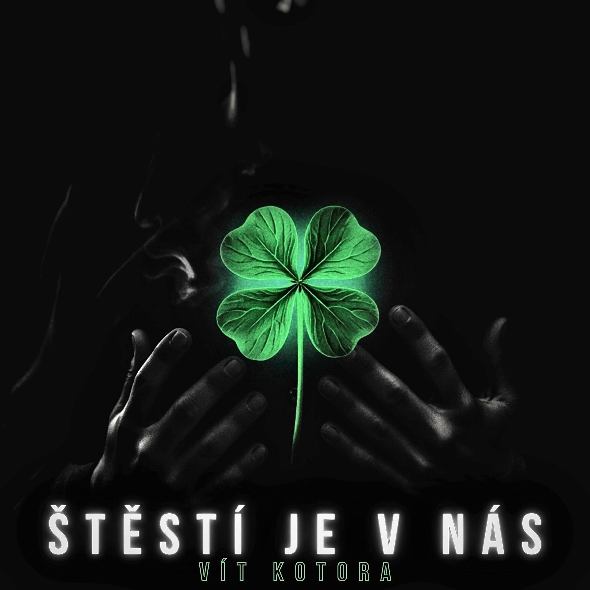 Album cover of Štěstí je v nás (Štěstí je v nás)