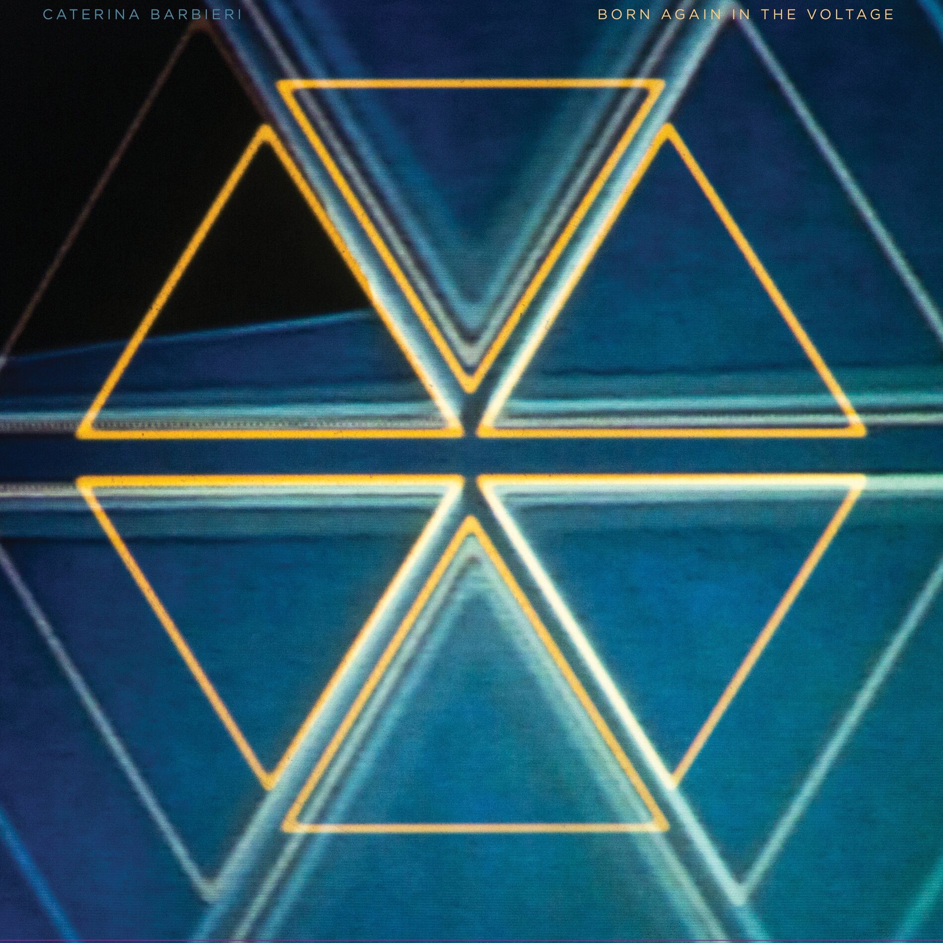 Album cover of Born Again In The Voltage