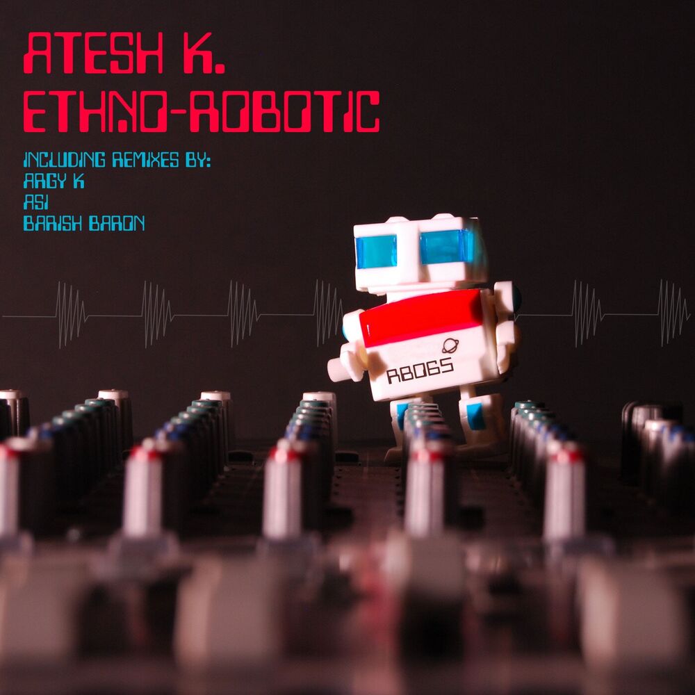 Picture of Ethno-Robotic