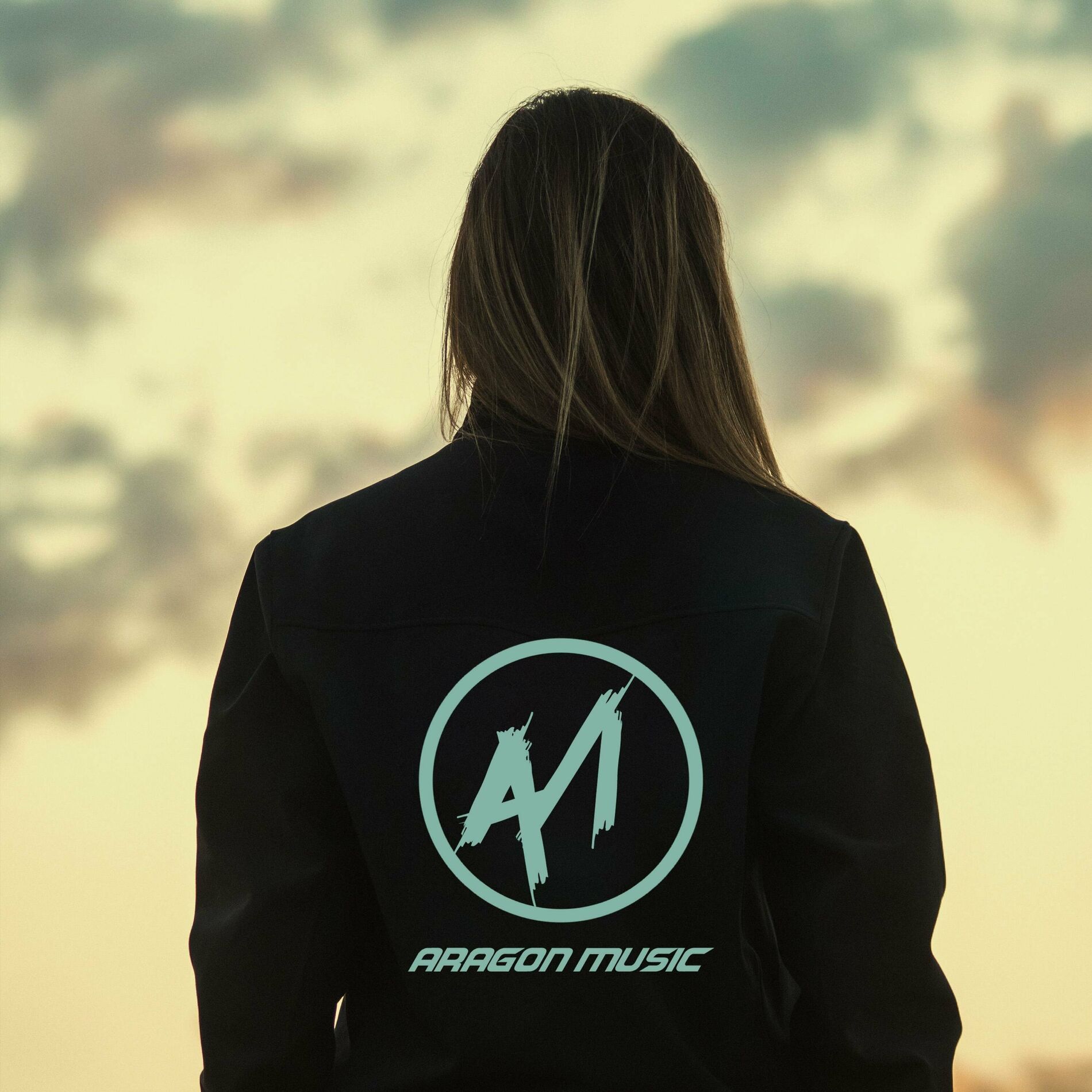 Album cover of Alan Walker, Sasha Alex Sloan (Hero)