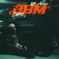 Cover of JDM