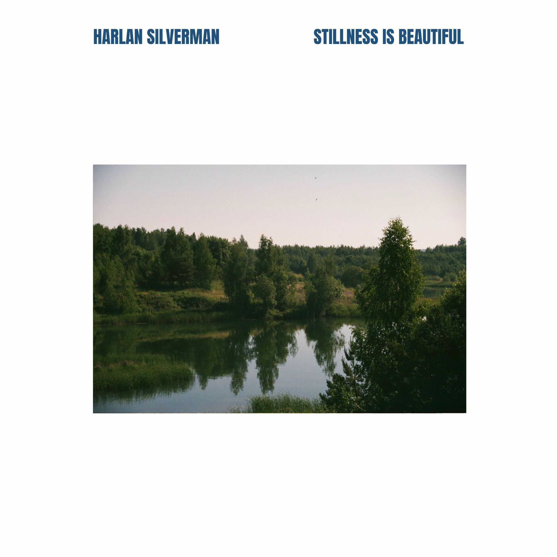 Album cover of Stillness is Beautiful