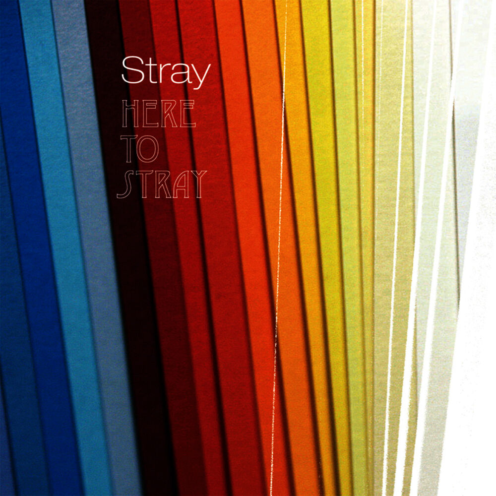 Picture of Here to Stray