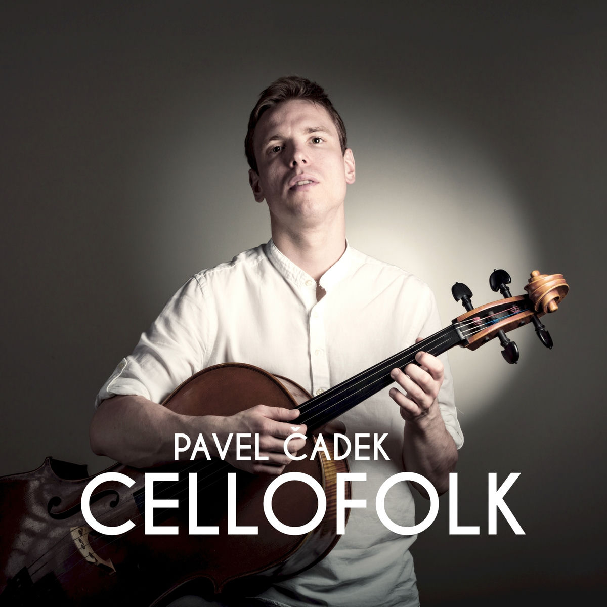 Album cover of Zase se budím