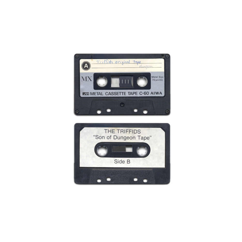 Picture of Grandson of Dungeon Tape