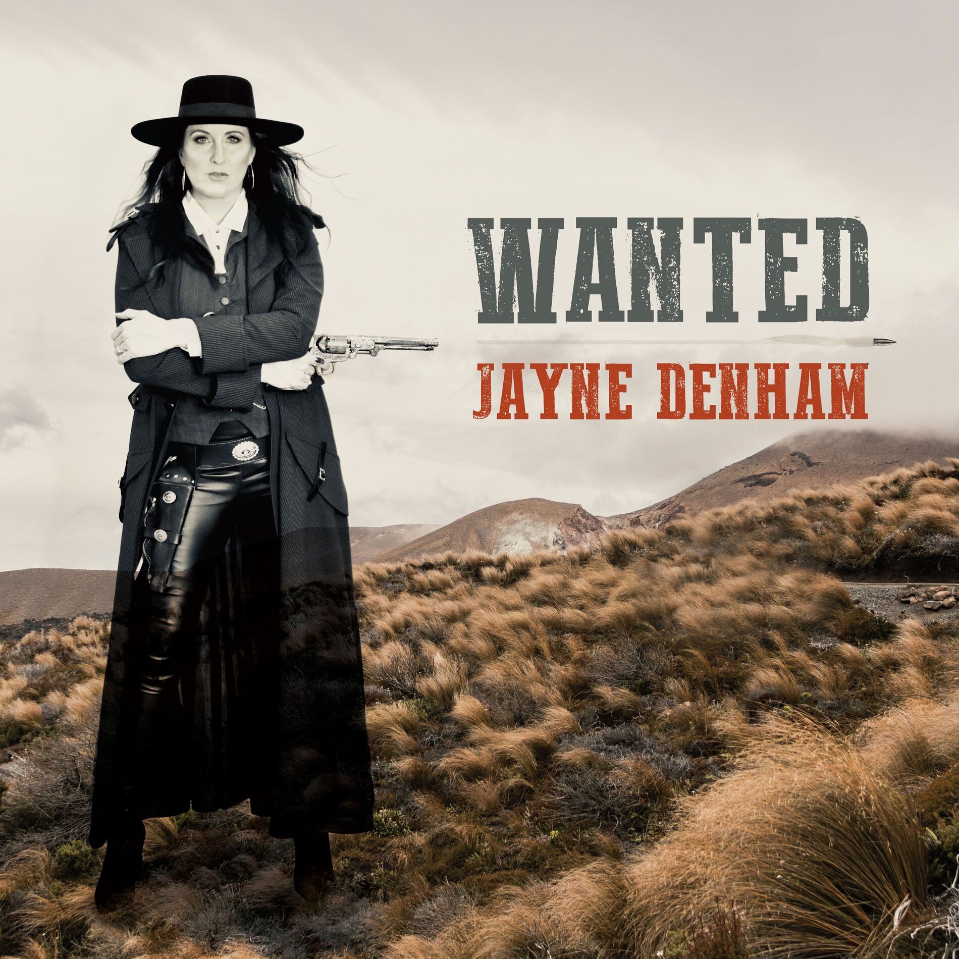 Album cover of Wanted