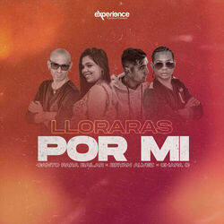 Cover of Lloraras por Mi