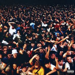 Cover of What Came Before