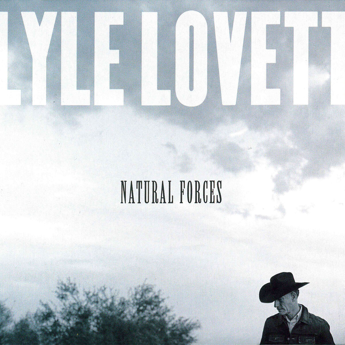 Album cover of Natural Forces