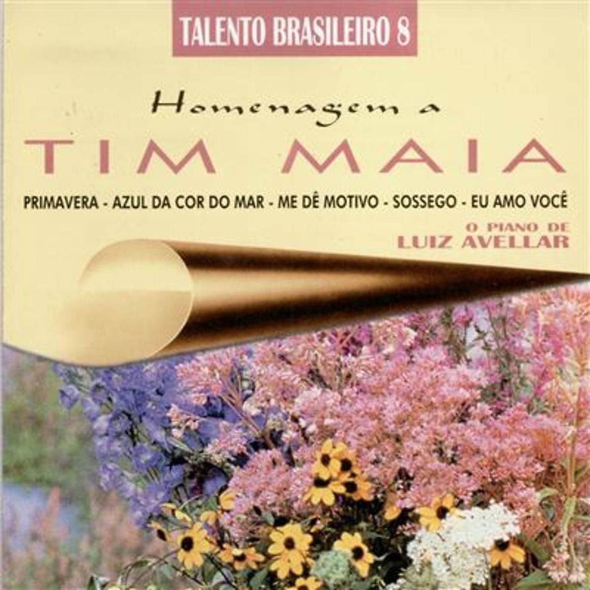 Album cover of Talento Brasileiro 8 (Homenagem a Tim Maia)