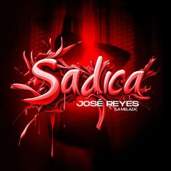 Cover of Sádica