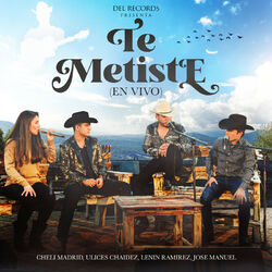 Cover of Te Metiste (En Vivo)
