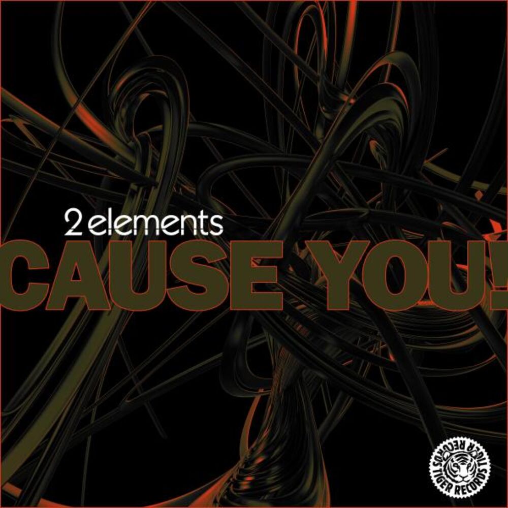 Picture of Cause You! (Remixes)